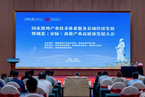 国家蛋鸡产业技术体系服务县域经济发展大会在安陆召开，信息技术咨询服务助力产业升级